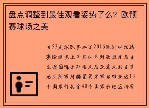 盘点调整到最佳观看姿势了么？欧预赛球场之美